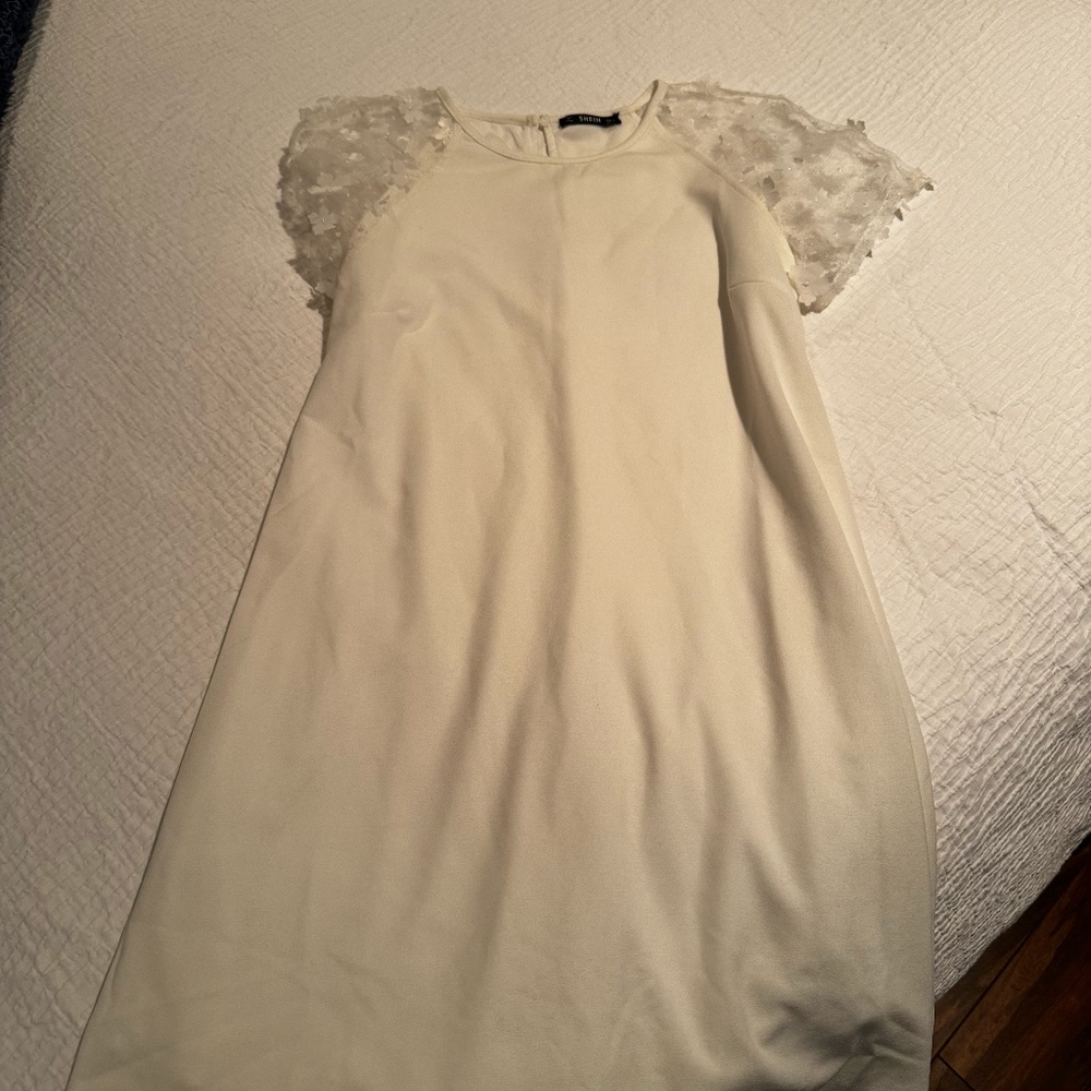 Applique Detail Sheer Mesh Raglan Sleeve Dress